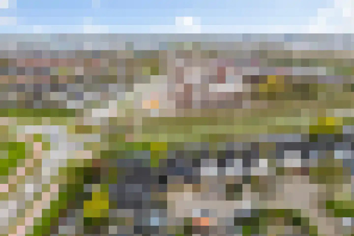 Monsmastate 24 Leeuwarden thumbnail 68