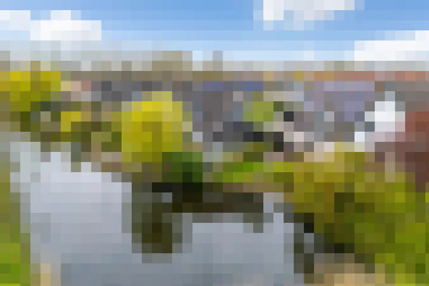 Monsmastate 24 Leeuwarden thumbnail 69