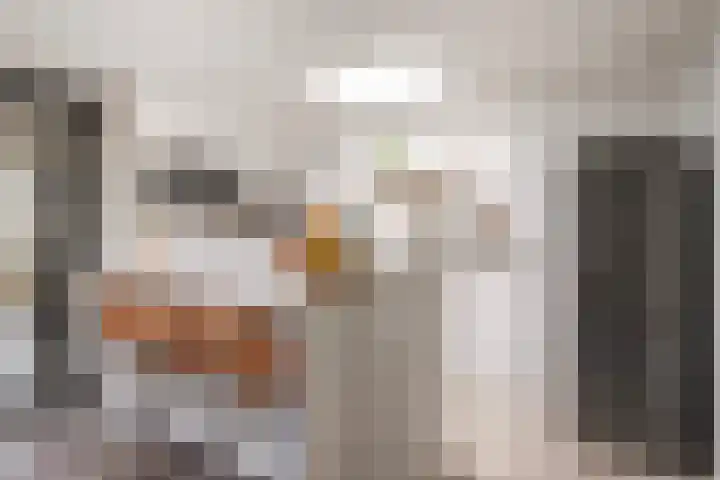 Monsmastate 3 Leeuwarden thumbnail 26