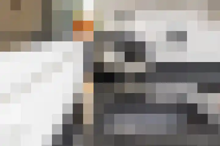 Monsmastate 3 Leeuwarden thumbnail 29