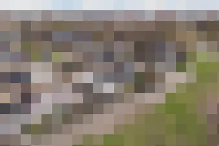 Monsmastate 3 Leeuwarden thumbnail 47