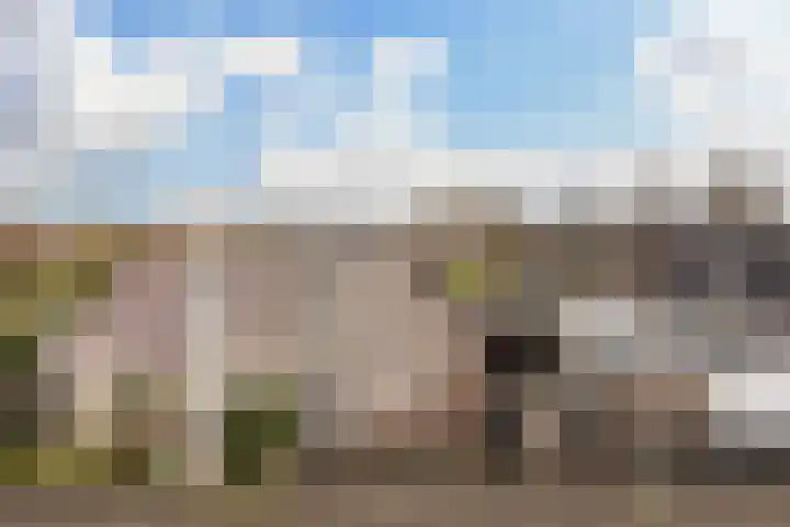 Monsmastate 3 Leeuwarden thumbnail 49