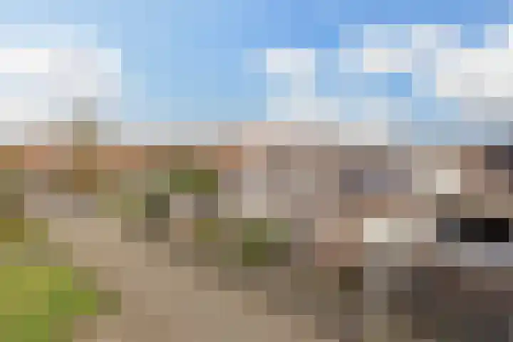 Monsmastate 3 Leeuwarden thumbnail 50
