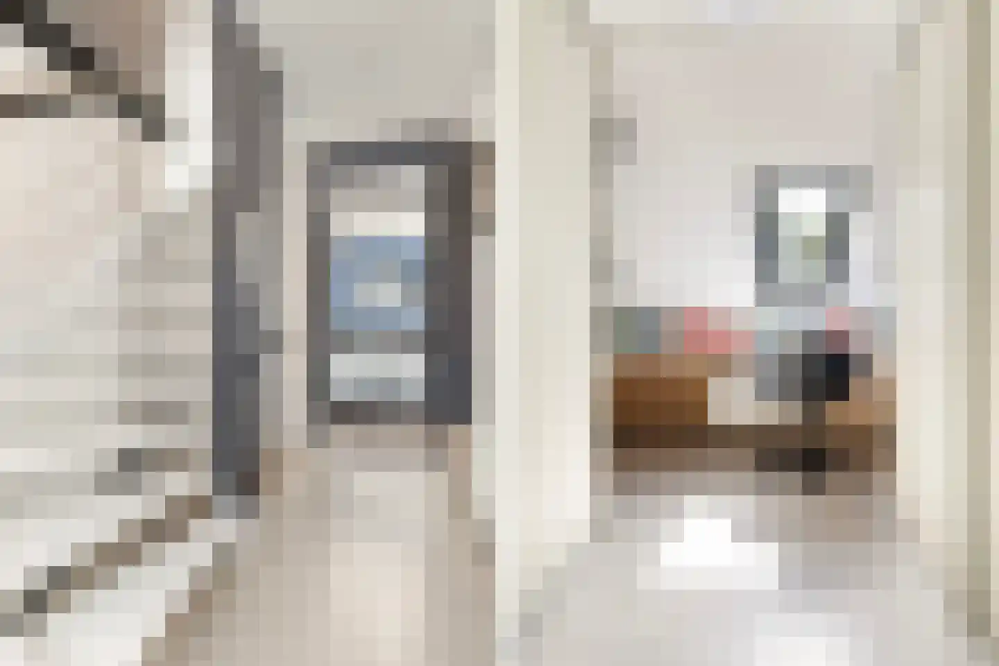 Monsmastate 8 Leeuwarden thumbnail 32