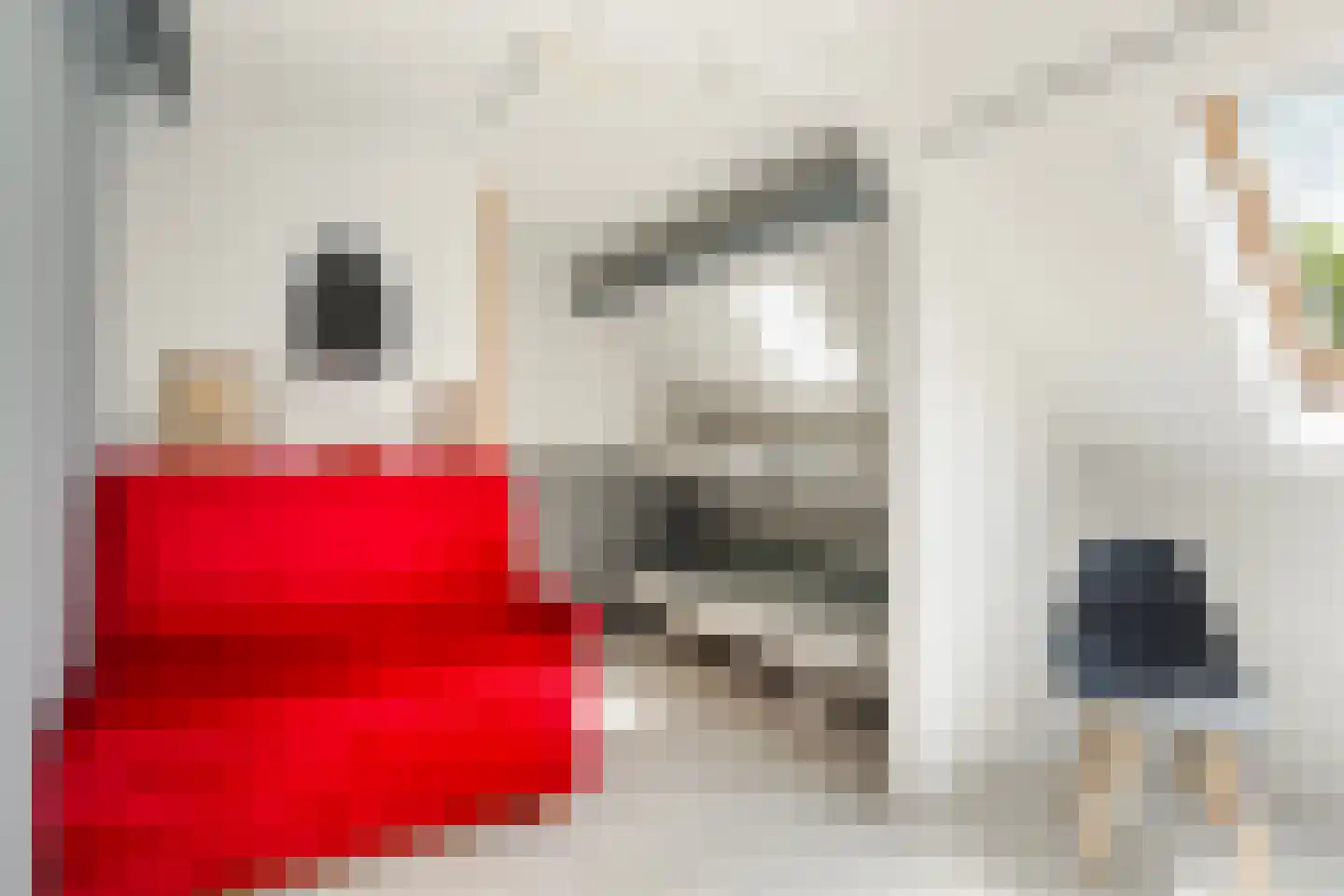 Monsmastate 8 Leeuwarden thumbnail 33