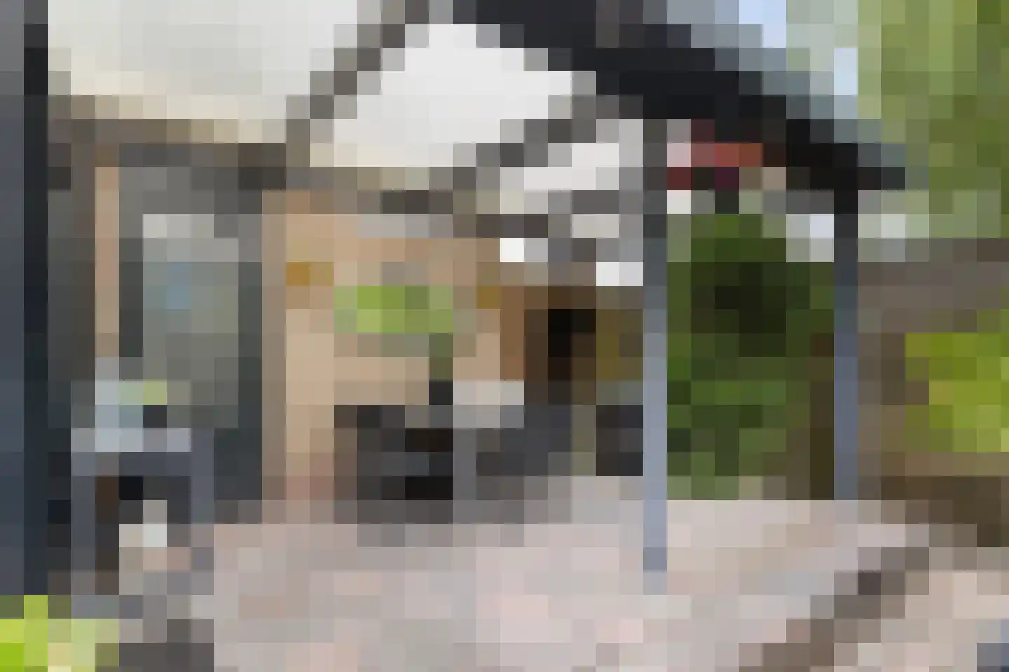 Monsmastate 8 Leeuwarden thumbnail 35
