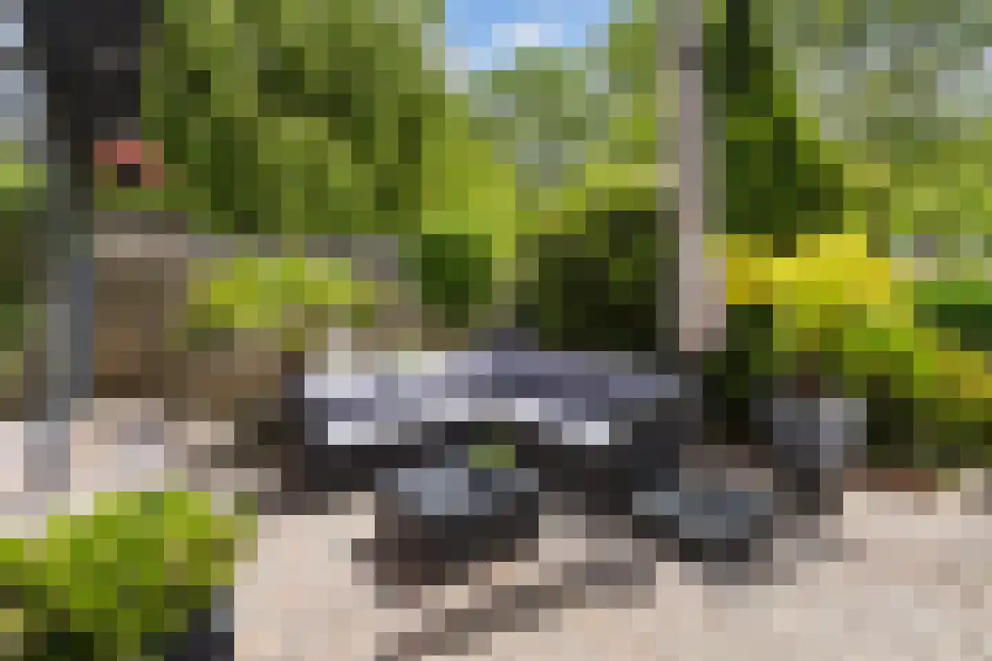 Monsmastate 8 Leeuwarden thumbnail 37