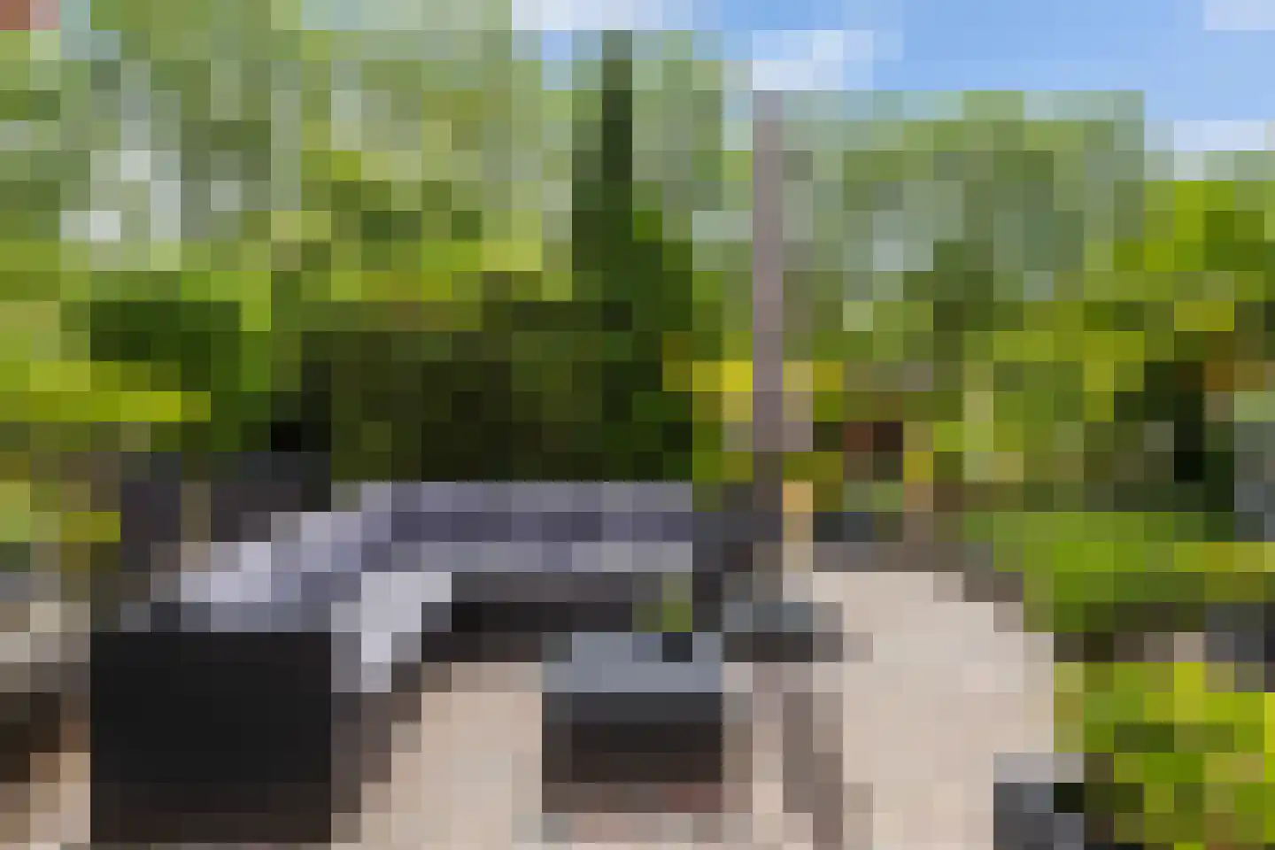 Monsmastate 8 Leeuwarden thumbnail 38