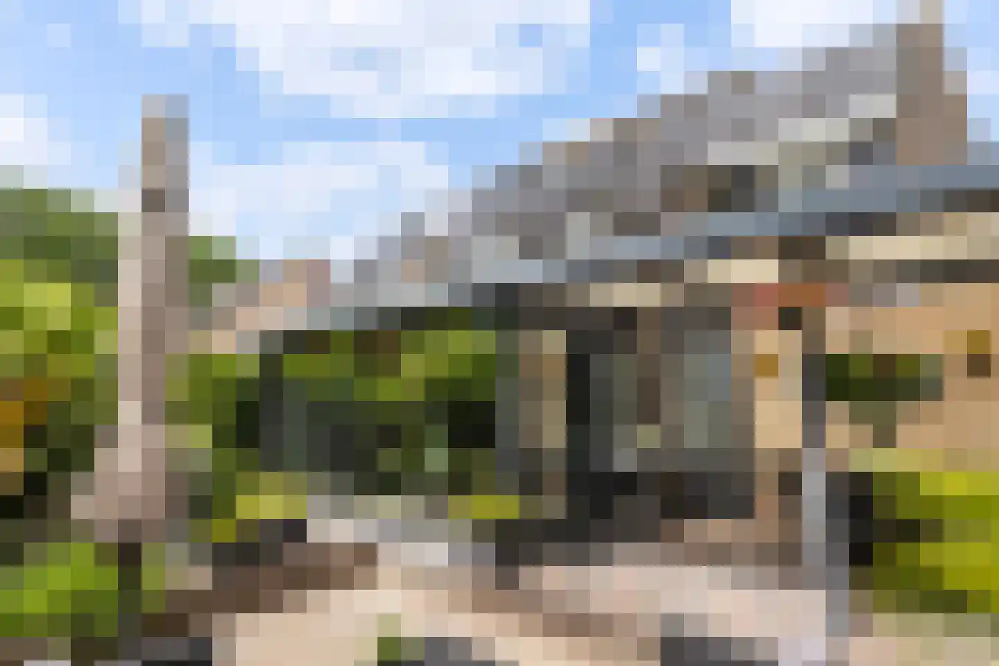 Monsmastate 8 Leeuwarden thumbnail 39