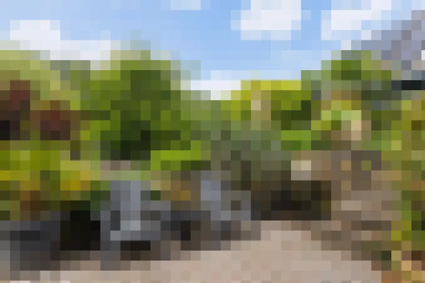 Monsmastate 8 Leeuwarden thumbnail 42