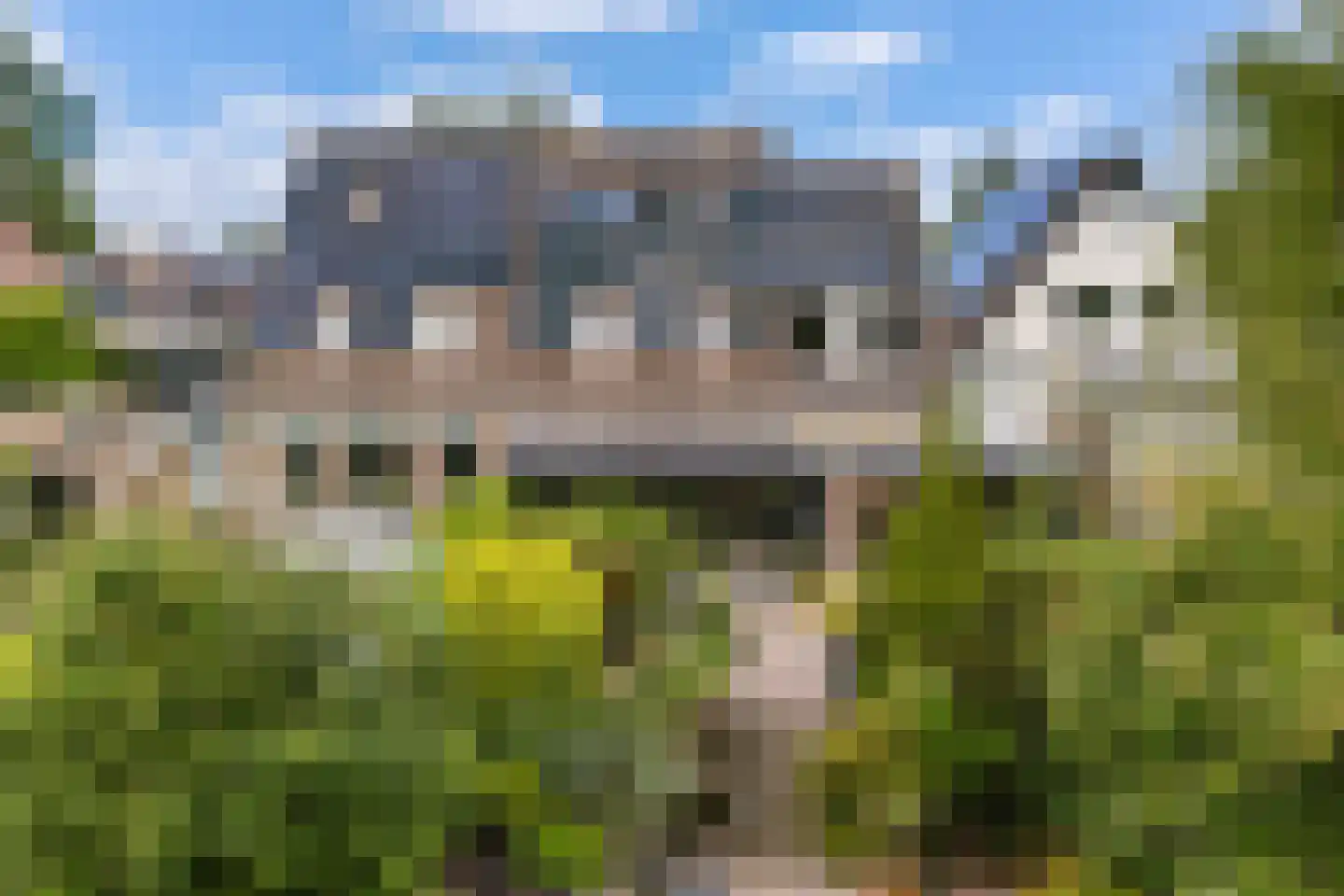 Monsmastate 8 Leeuwarden thumbnail 47