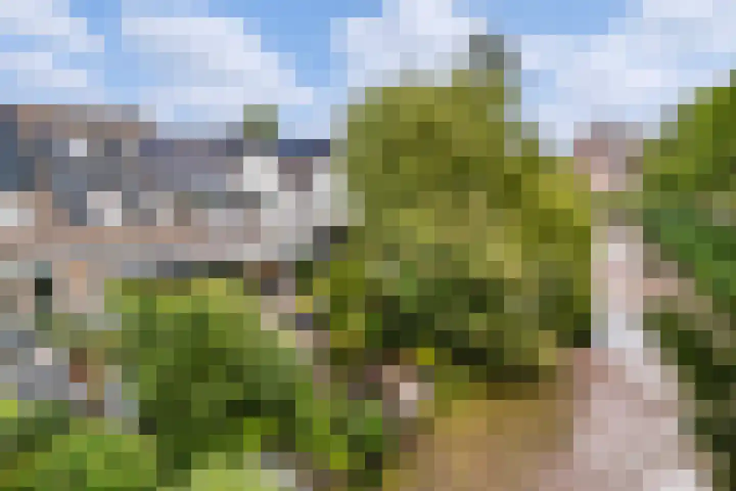Monsmastate 8 Leeuwarden thumbnail 48