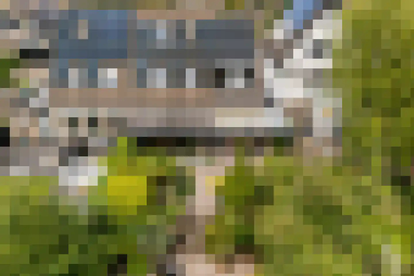 Monsmastate 8 Leeuwarden thumbnail 49