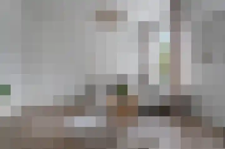 Monstersestraat 6 Den Haag thumbnail 10
