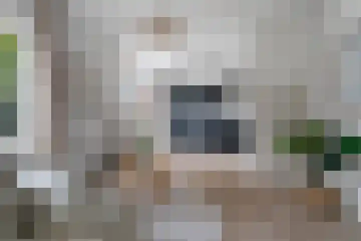 Monstersestraat 6 Den Haag thumbnail 13