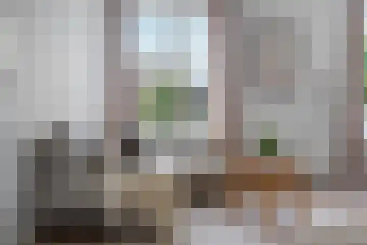 Monstersestraat 6 Den Haag thumbnail 16