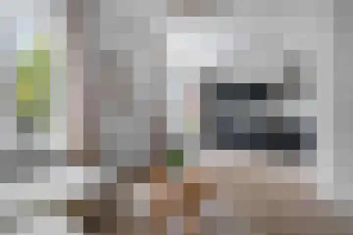 Monstersestraat 6 Den Haag thumbnail 17