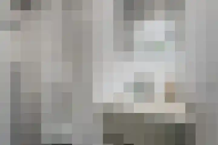 Monstersestraat 6 Den Haag thumbnail 22