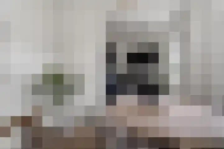 Monstersestraat 6 Den Haag thumbnail 33