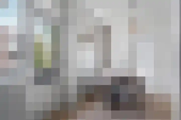 Monstersestraat 6 Den Haag thumbnail 34
