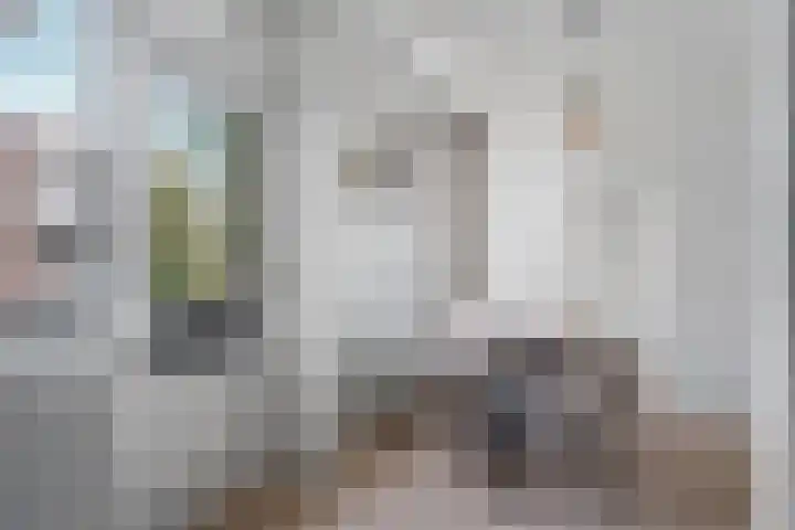 Monstersestraat 6 Den Haag thumbnail 35