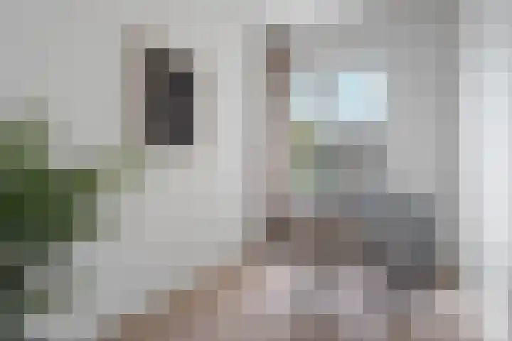 Monstersestraat 6 Den Haag thumbnail 4