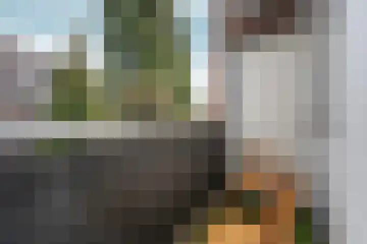 Monstersestraat 6 Den Haag thumbnail 49
