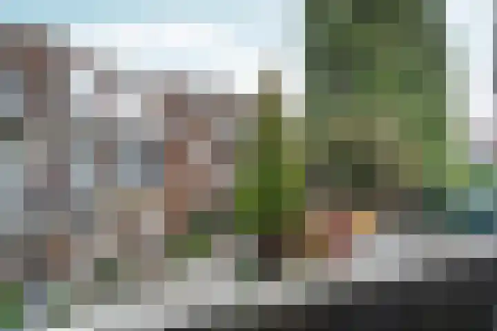 Monstersestraat 6 Den Haag thumbnail 50