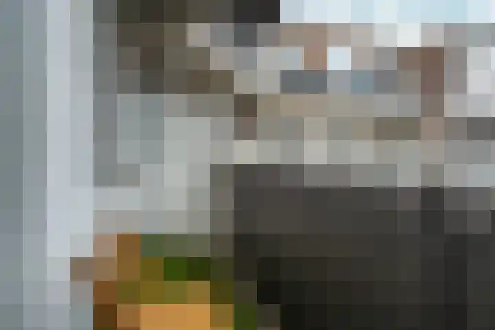 Monstersestraat 6 Den Haag thumbnail 51