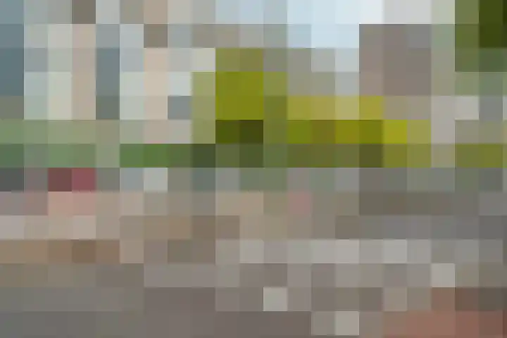 Monstersestraat 6 Den Haag thumbnail 57