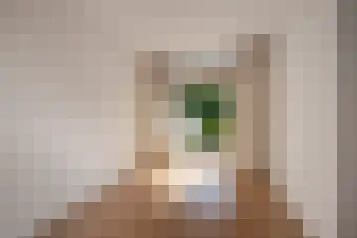 Monstersestraat 70 Den Haag thumbnail 12