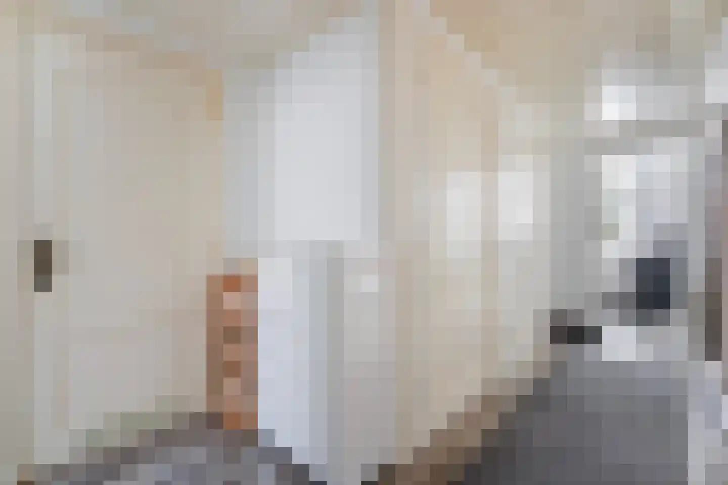 Monstersestraat 72 Den Haag thumbnail 10
