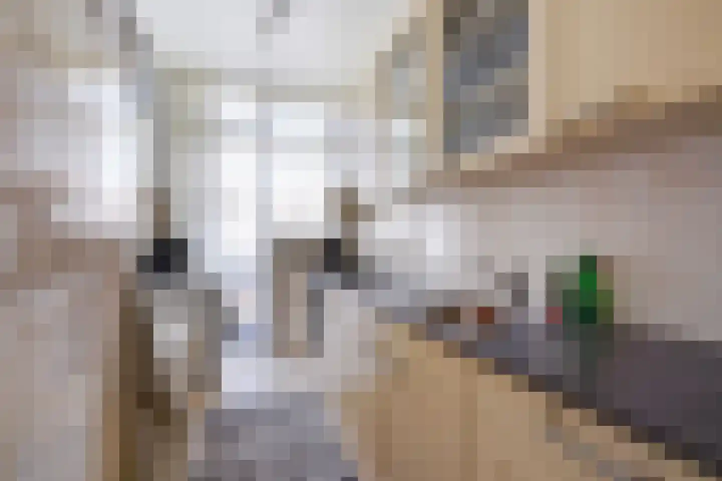 Monstersestraat 72 Den Haag thumbnail 18