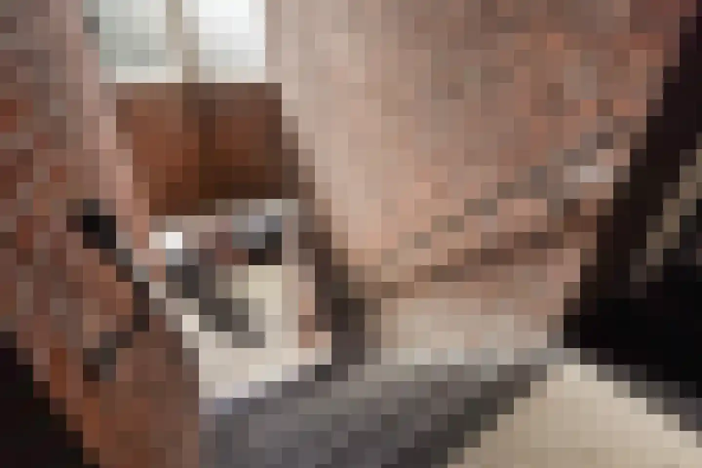 Monstersestraat 72 Den Haag thumbnail 6