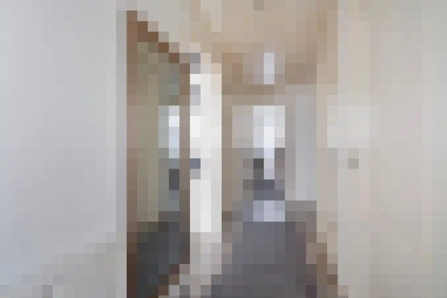 Monstersestraat 72 Den Haag thumbnail 9