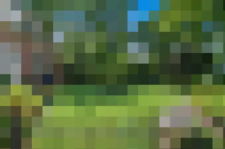 Monsterseweg 1 Den Haag thumbnail 10