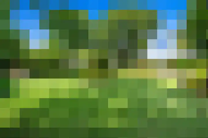 Monsterseweg 1 Den Haag thumbnail 8
