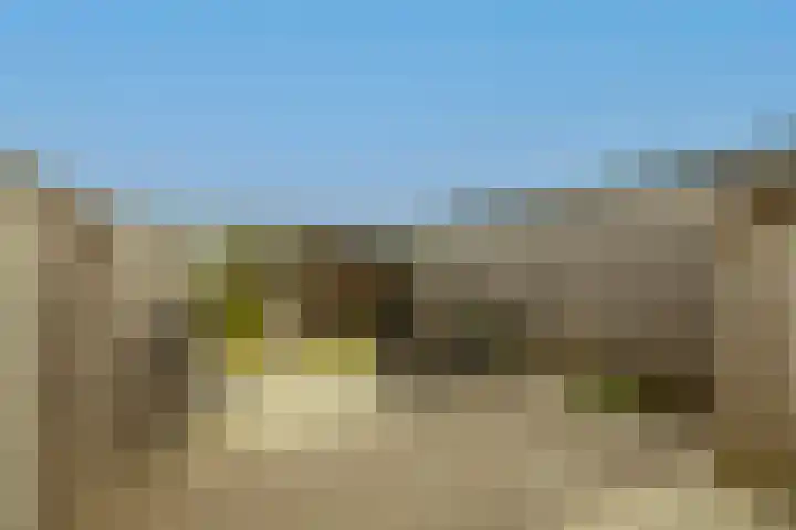 Monsterseweg 103 's-Gravenzande thumbnail 29
