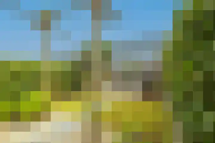 Monsterseweg 103 's-Gravenzande thumbnail 30
