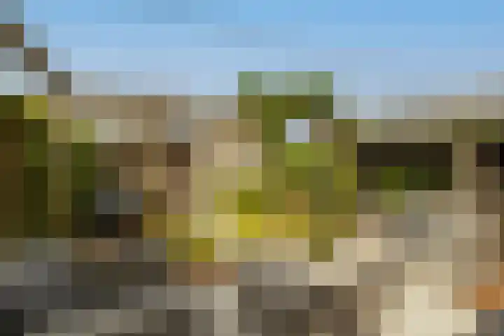 Monsterseweg 103 's-Gravenzande thumbnail 32