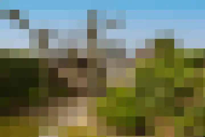 Monsterseweg 103 's-Gravenzande thumbnail 33