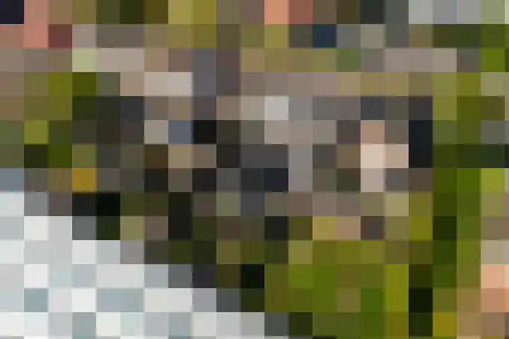 Monsterseweg 103 's-Gravenzande thumbnail 38