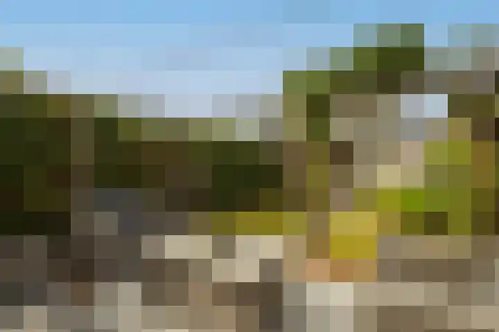 Monsterseweg 103 's-Gravenzande thumbnail 4