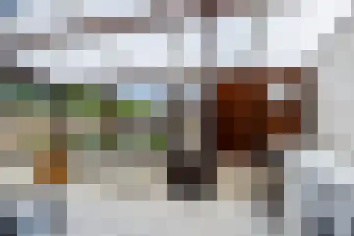 Monsterseweg 105 's-Gravenzande thumbnail 14