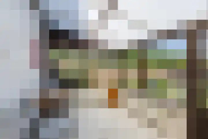 Monsterseweg 105 's-Gravenzande thumbnail 15