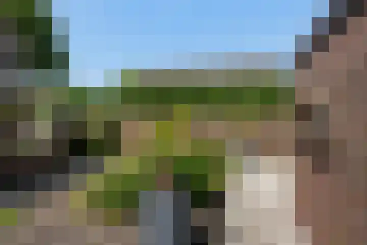 Monsterseweg 105 's-Gravenzande thumbnail 19