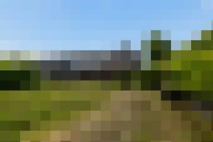 Monsterseweg 105 's-Gravenzande thumbnail 20