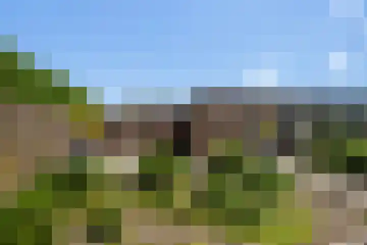 Monsterseweg 105 's-Gravenzande thumbnail 4