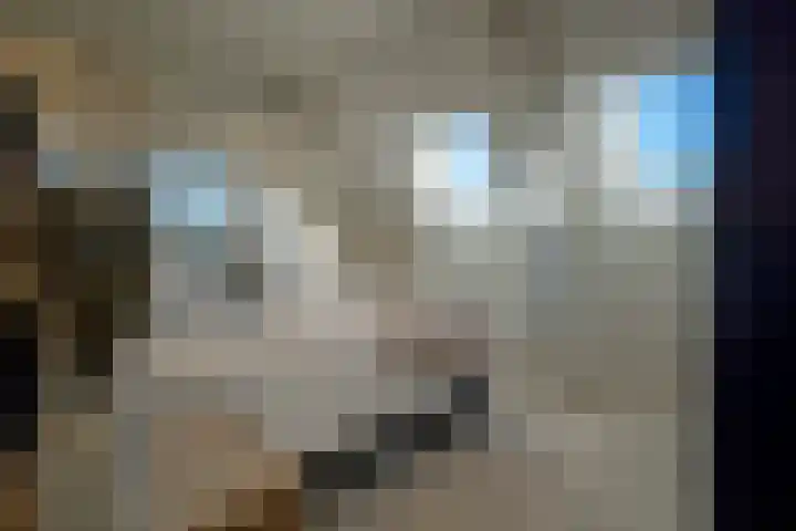 Monsterseweg 149 's-Gravenzande thumbnail 21