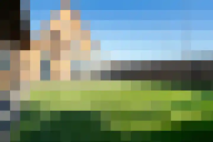 Monsterseweg 149 's-Gravenzande thumbnail 28